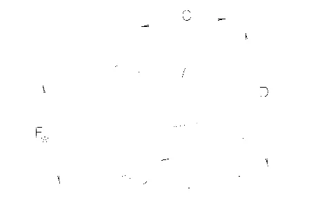 FAG RNA4834