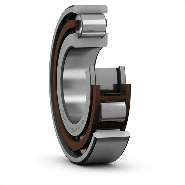 SKF N 220 ECP